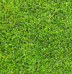 Bermuda SOD Pallet - Champion Landscape Supplies - GRASS