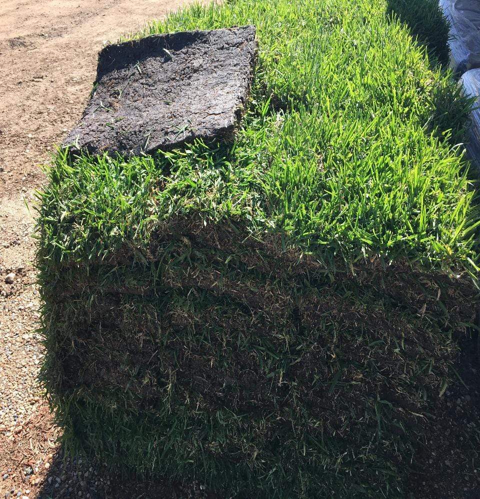 Palmetto SOD Pallet - Champion Landscape Supplies - GRASS